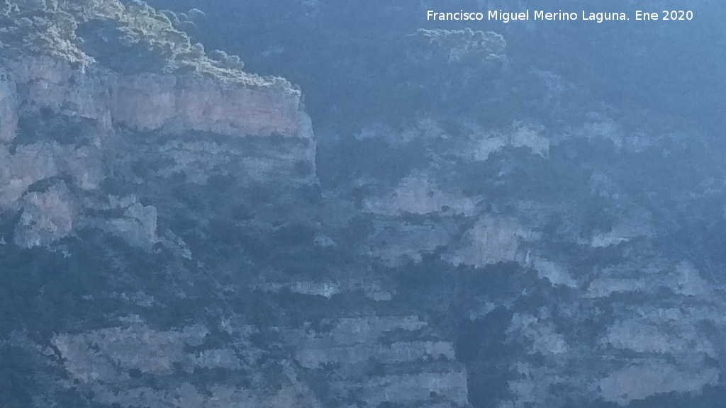 Canjorro de los Machos - Canjorro de los Machos. Desde Matagallar