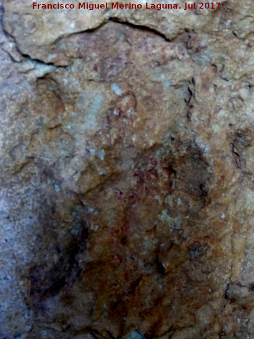 Pinturas rupestres del Abrigo de la Piedra del Agujero I - Pinturas rupestres del Abrigo de la Piedra del Agujero I. Detalle
