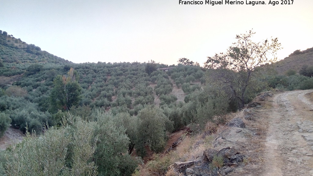 Cortijo del Sur del Cerrajn - Cortijo del Sur del Cerrajn. 