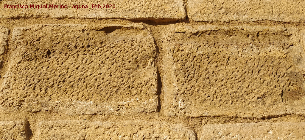 Palacio del De�n Ortega - Palacio del De�n Ortega. Detalle del muro bajo