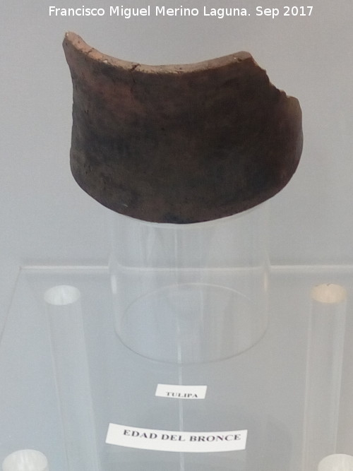 Edad del Bronce - Edad del Bronce. Tulipa. Cueva de los Murcilagos. Museo Histrico de Zuheros