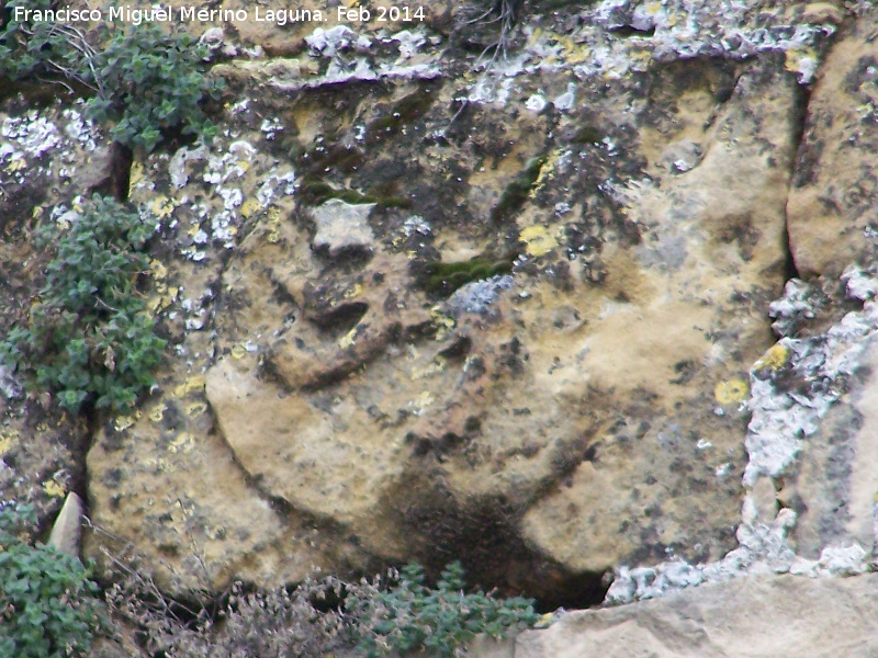 Muralla de la Cava - Muralla de la Cava. Escudo de Len en la Torre Norte de la Puerta de Jan