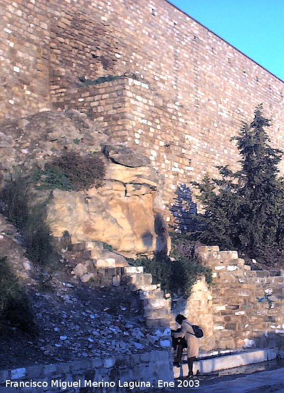 Torre�n de Saludeja V - Torre�n de Saludeja V. 