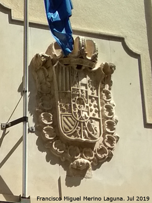 Palacio de San Esteban - Palacio de San Esteban. Escudo de Espaa