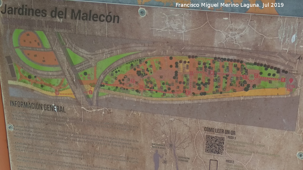 Paseo del Malecn - Paseo del Malecn. Plano