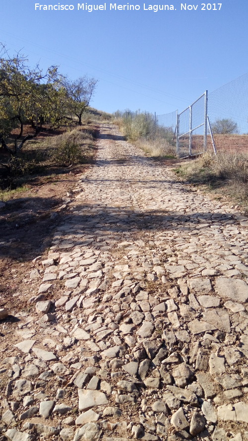 Calzada de San Marcos - Calzada de San Marcos. 