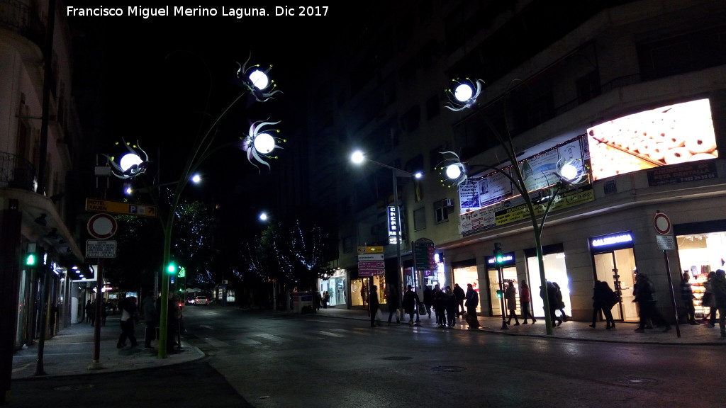 Farolas de Flores - Farolas de Flores. 