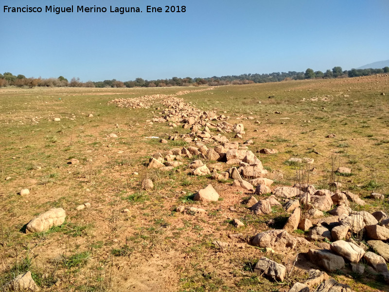 Restos de muros de parcelacin del Guadaln - Restos de muros de parcelacin del Guadaln. Muros de la orilla de la finca del Vizconde