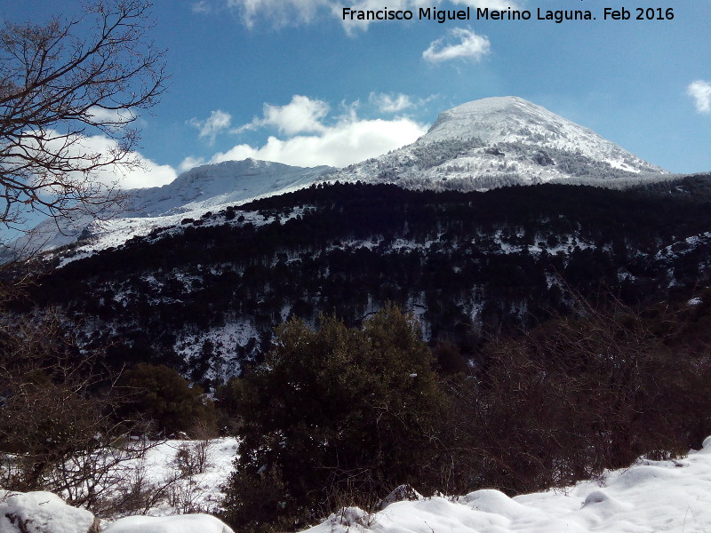 Cerro Ponce - Cerro Ponce. Desde el Sendero de Fuenmayor