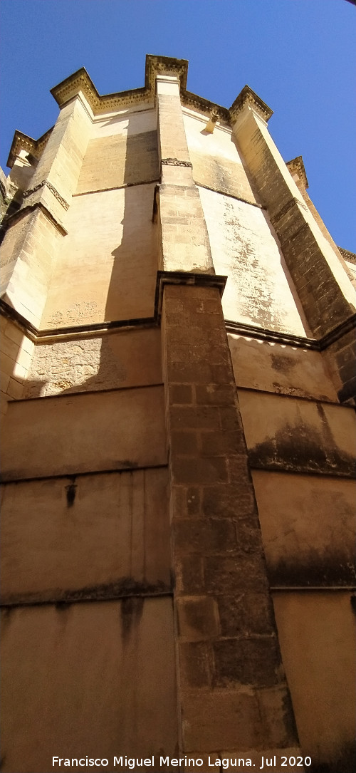 Bas�lica Menor de Santa Mar�a de la Asunci�n - Bas�lica Menor de Santa Mar�a de la Asunci�n. �bside