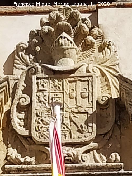 Palacio del Mayorazgo - Palacio del Mayorazgo. Escudo