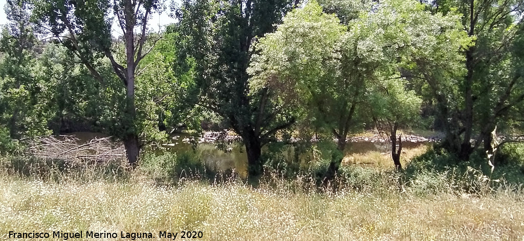 R�o J�ndula - R�o J�ndula. Encinarejo - And�jar