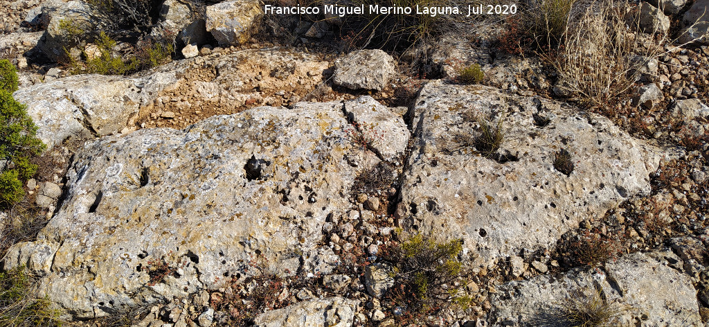 Cazoletas del Cerro de la Mina - Cazoletas del Cerro de la Mina. Piedra al completo