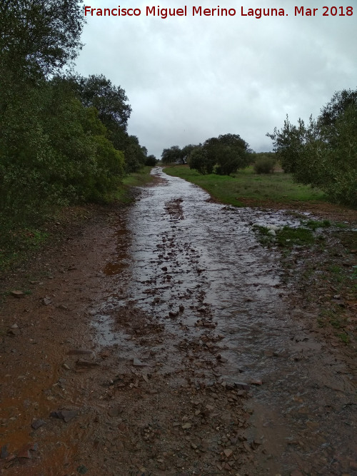 Va Herclea o Camino de Anbal - Va Herclea o Camino de Anbal. 