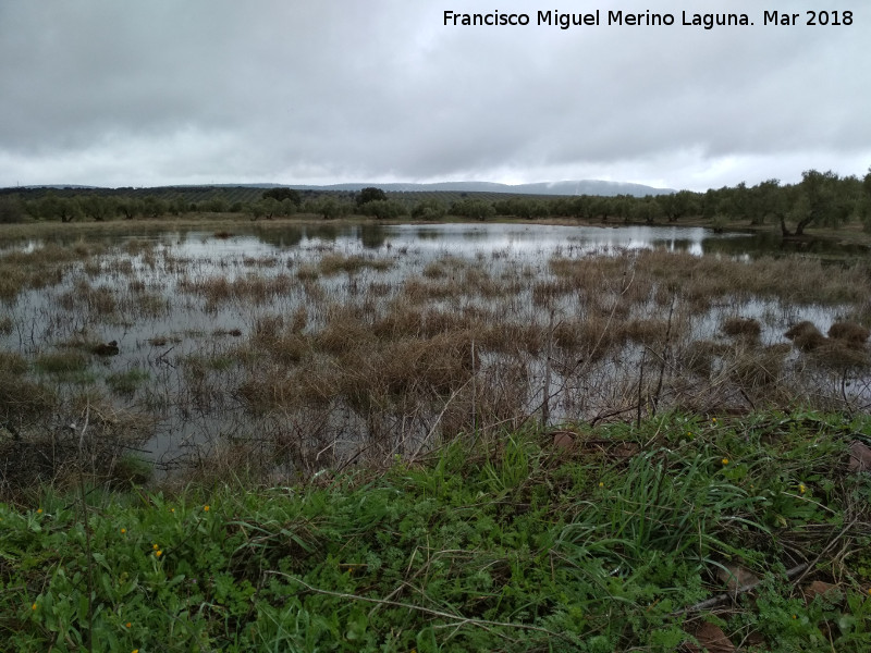 Laguna Pequea de los Perales - Laguna Pequea de los Perales. 