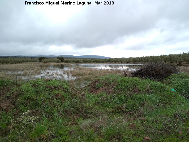 Laguna Pequea de los Perales - Laguna Pequea de los Perales. 