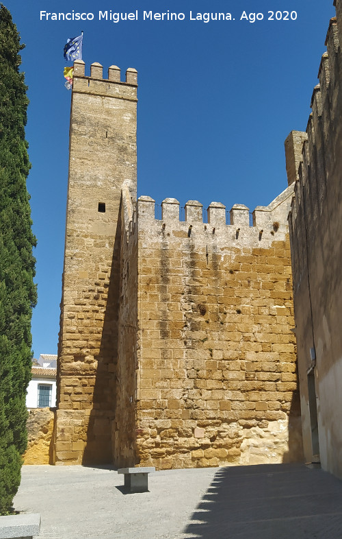 Alc�zar de la Puerta de Sevilla - Alc�zar de la Puerta de Sevilla. Torre