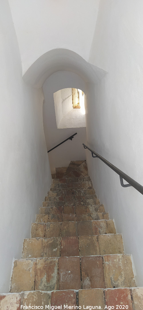 Alc�zar de la Puerta de Sevilla - Alc�zar de la Puerta de Sevilla. Escaleras de la Torre del Oro