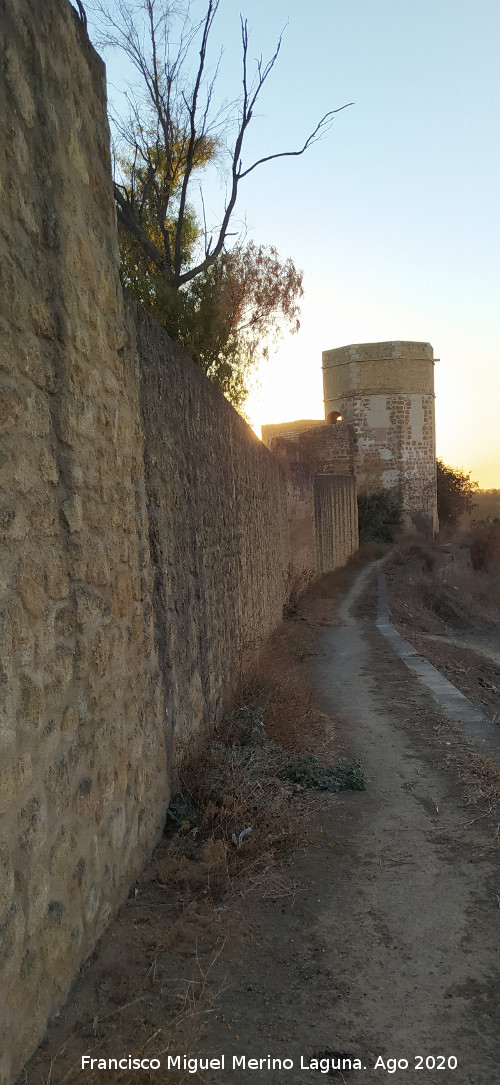 Castillo de Alcal� de Guadaira - Castillo de Alcal� de Guadaira. Muralla
