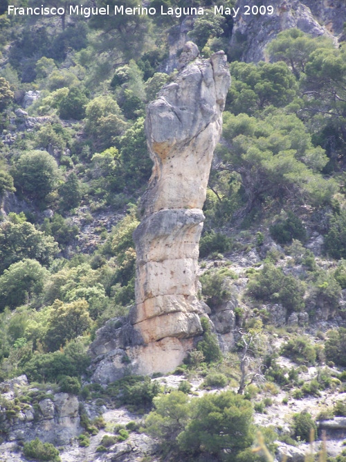 Caballos de Ajedrez - Caballos de Ajedrez. 