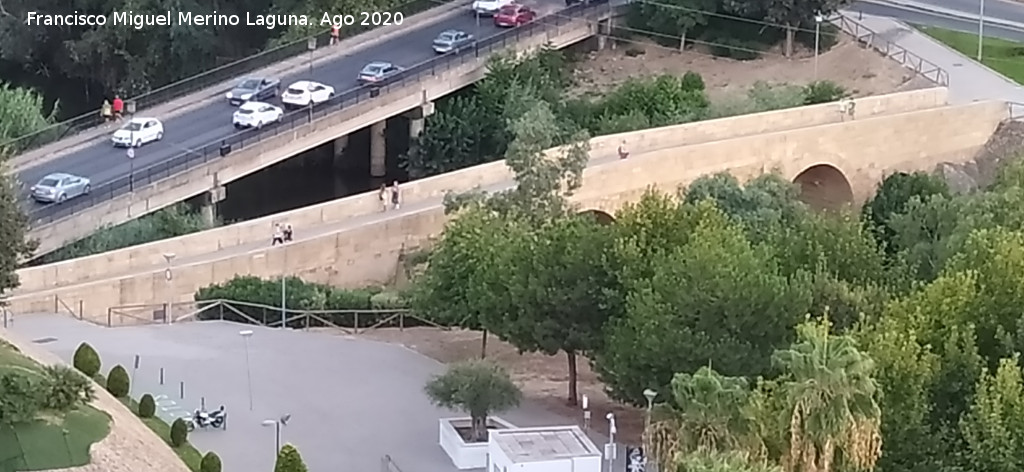 Puente de Carlos III - Puente de Carlos III. Desde el Castillo