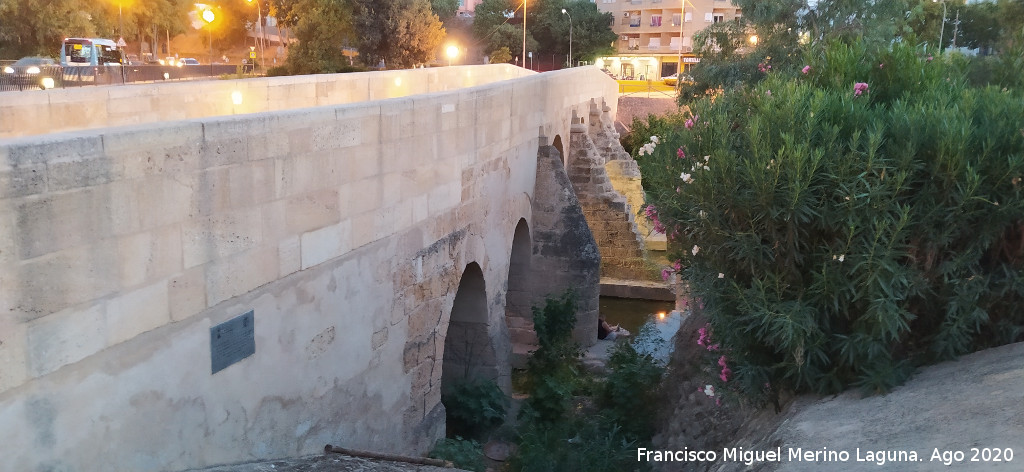 Puente de Carlos III - Puente de Carlos III. 