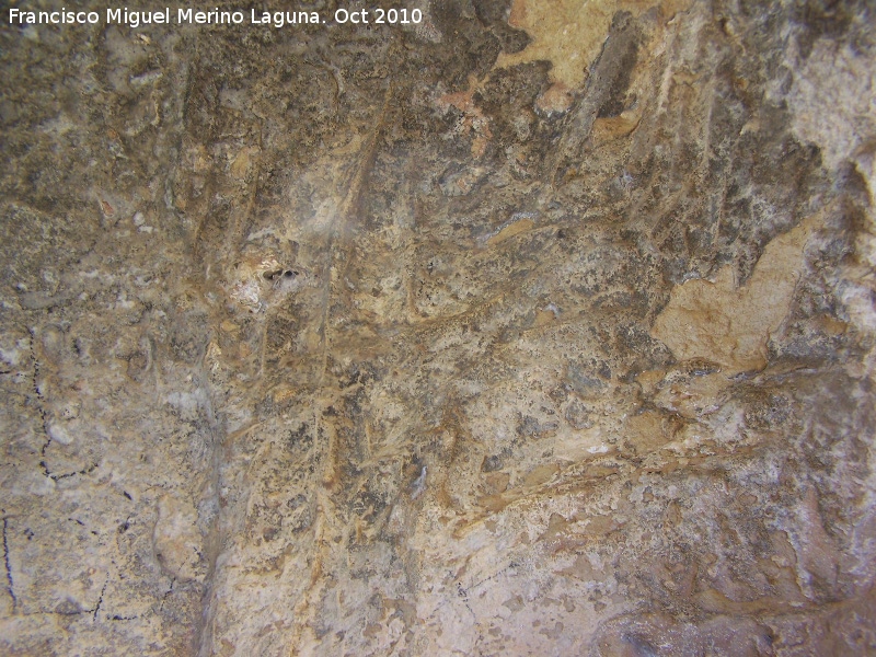 Petroglifos rupestres de la Piedra Hueca Chica - Petroglifos rupestres de la Piedra Hueca Chica. Petroglifos superiores