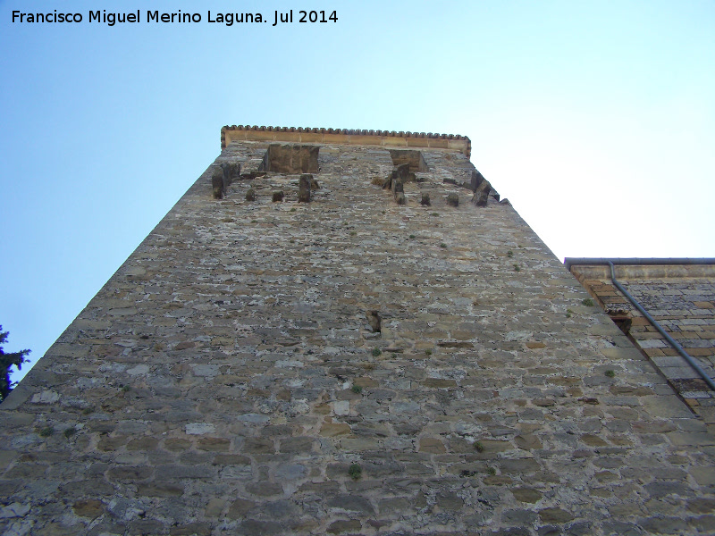 Castillo de La Moraleja - Castillo de La Moraleja. 