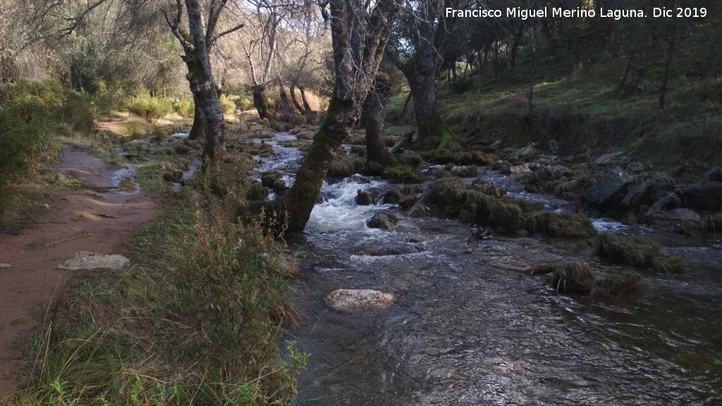 Arroyo de Martn Prez - Arroyo de Martn Prez. 