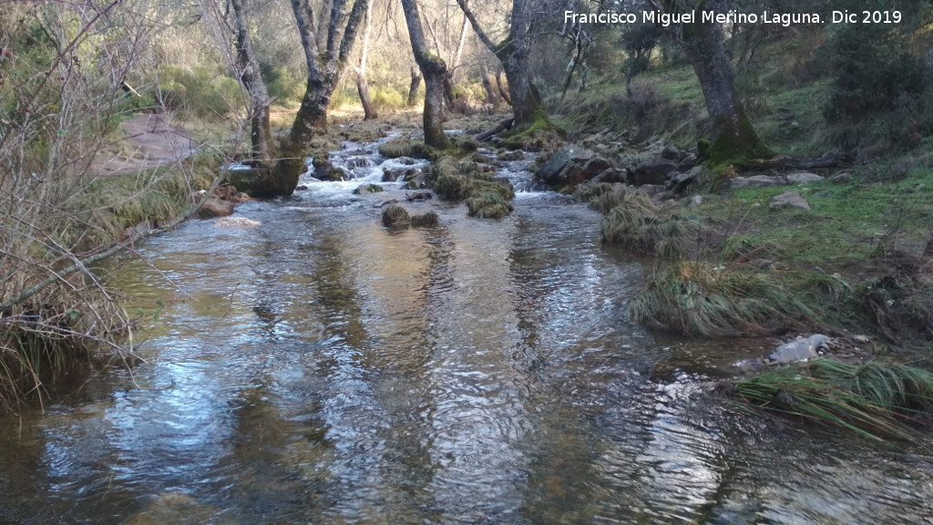 Arroyo de Martn Prez - Arroyo de Martn Prez. 