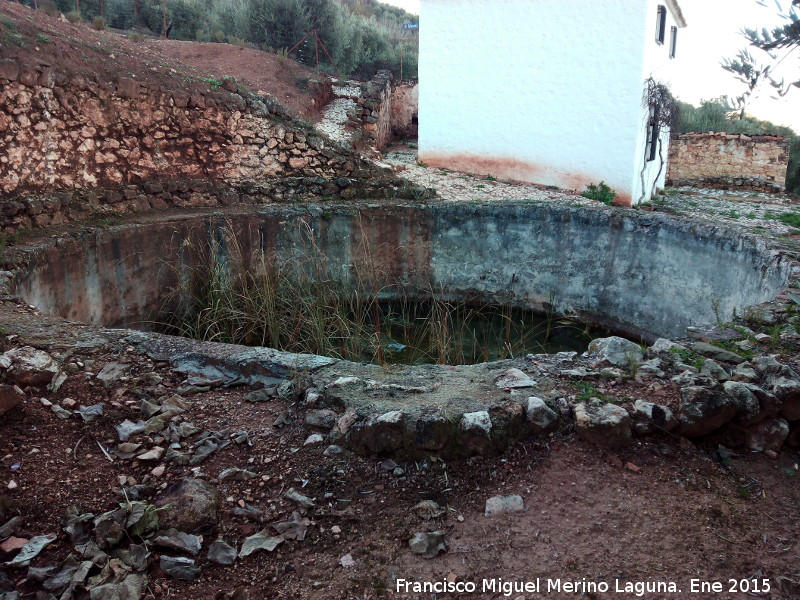 Estanque de Azp�roz - Estanque de Azp�roz. 