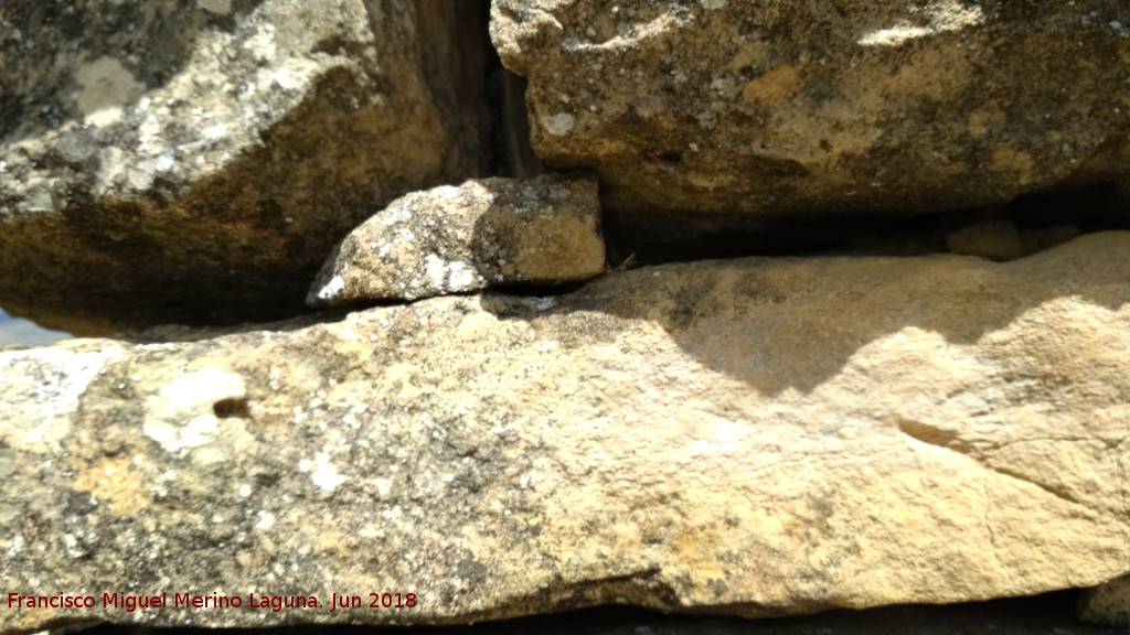 Caracol del Cerro Romano - Caracol del Cerro Romano. Detalle