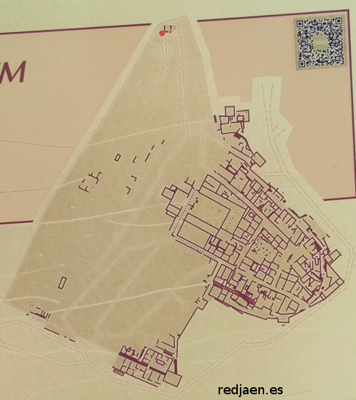 Lucentum. Mosaico de Opus Signinum - Lucentum. Mosaico de Opus Signinum. Situaci�n