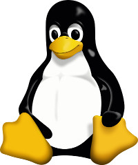 Linux. Comandos bsicos. 