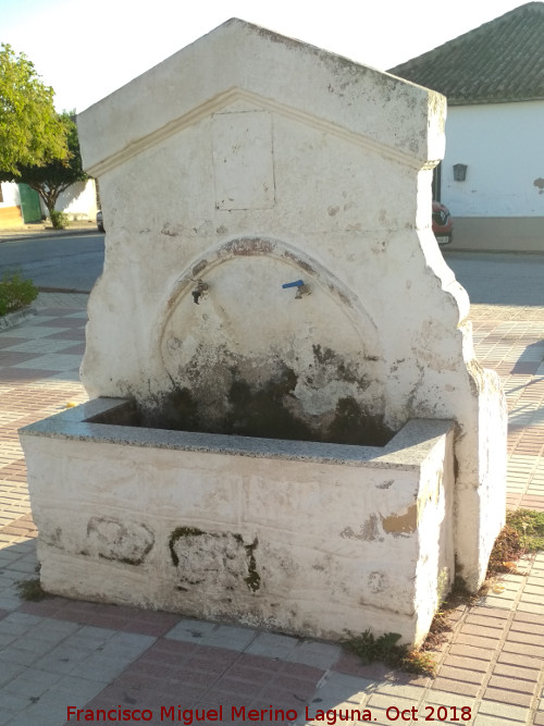 Fuente de Navas de Tolosa - Fuente de Navas de Tolosa. 