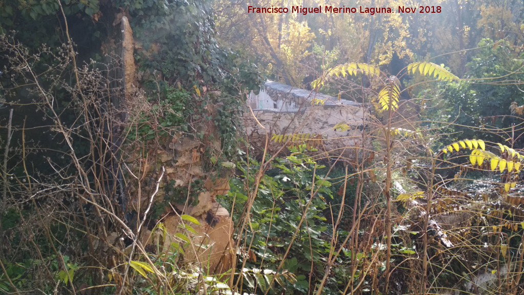 Molino de Triana - Molino de Triana. 