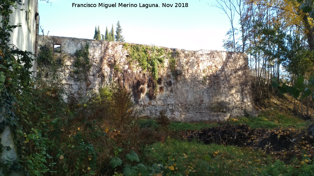 Molino de Triana - Molino de Triana. 