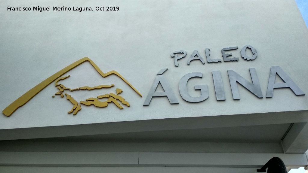 PaleoMgina - PaleoMgina. 