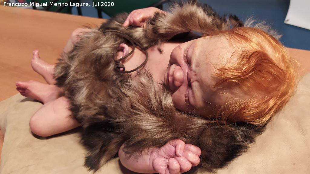PaleoM�gina - PaleoM�gina. Beb� neandertal