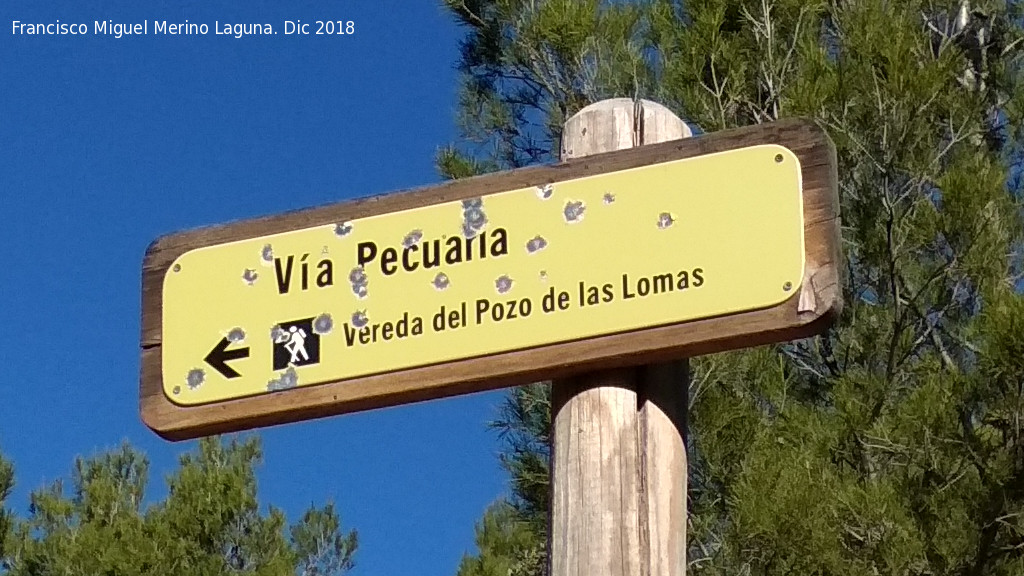 Vereda del Pozo de las Lomas - Vereda del Pozo de las Lomas. Cartel