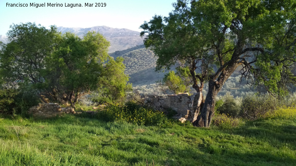 Cortijo de Crdoba - Cortijo de Crdoba. Restos