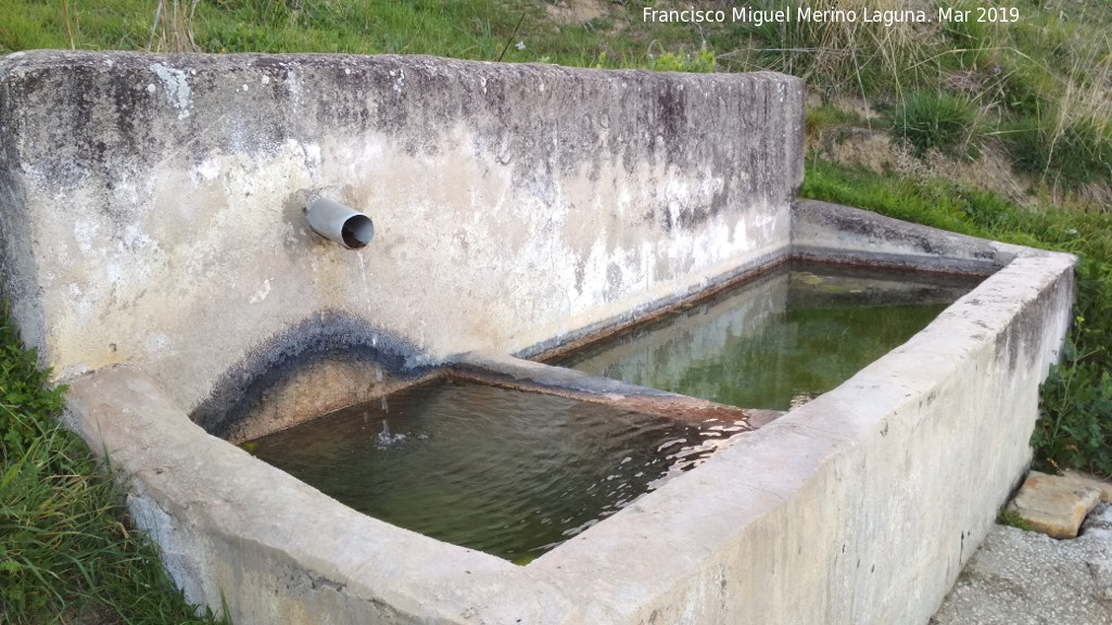 Fuente Haza Nogueras - Fuente Haza Nogueras. 