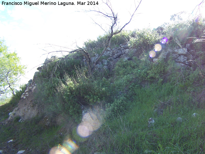Oppidum Bora Cerealis - Oppidum Bora Cerealis. Murallas