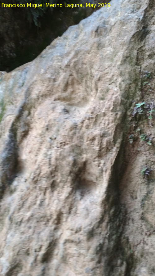 Cascada Primera de la Hueta - Cascada Primera de la Hueta. Escalones tallados