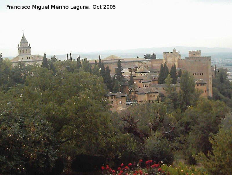 Bosque de la Alhambra - Bosque de la Alhambra. 