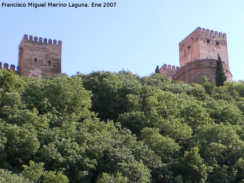 Bosque de la Alhambra - Bosque de la Alhambra. 