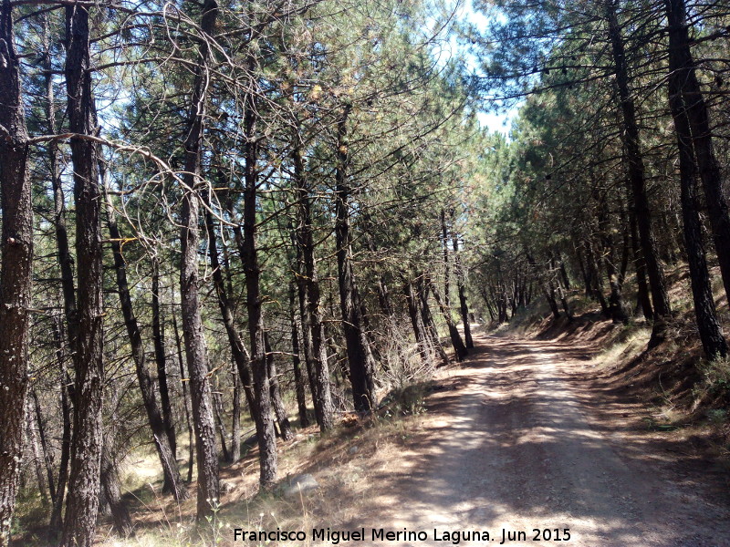 Sierra de la Grana - Sierra de la Grana. 