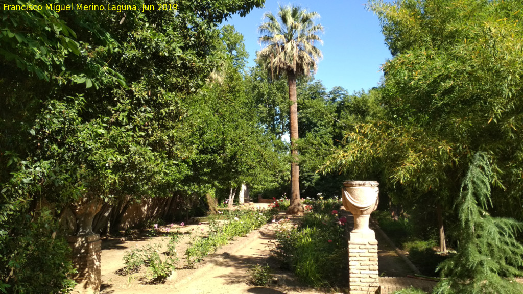 Carmen de los M�rtires. Rosaleda - Carmen de los M�rtires. Rosaleda. 