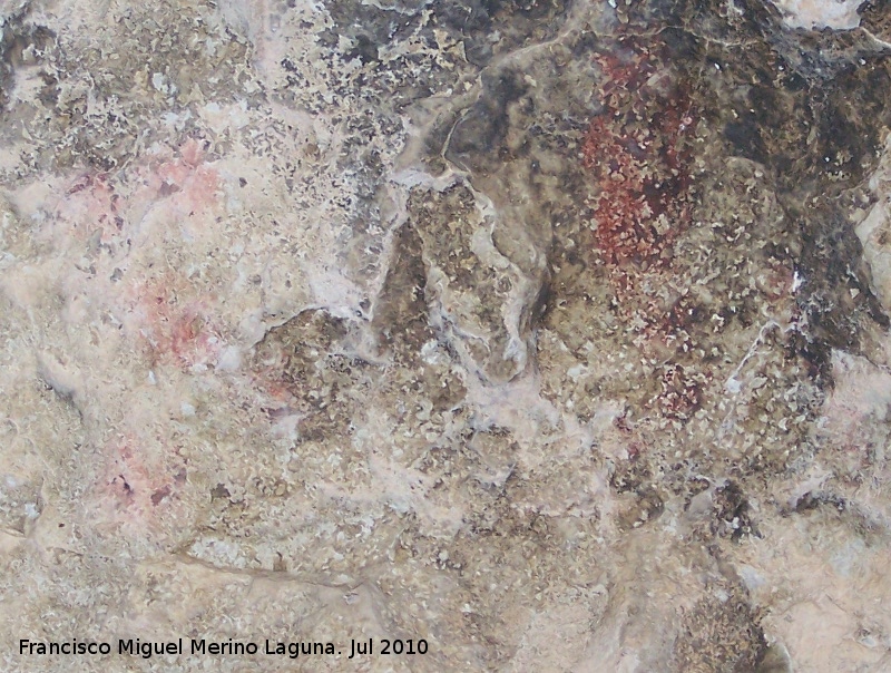 Pinturas rupestres de la Cueva Secreta Grupo V - Pinturas rupestres de la Cueva Secreta Grupo V. Restos