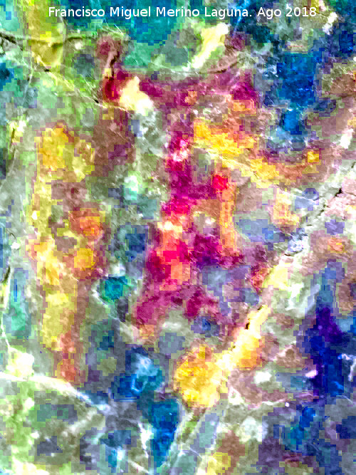 Pinturas rupestres y grabados de la Cueva de Mingo Lpez - Pinturas rupestres y grabados de la Cueva de Mingo Lpez. Figura. Tatada con Dstrerch